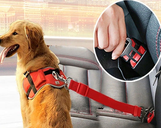 best dog car seat belt