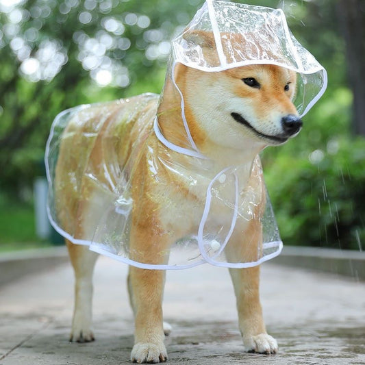 Leopard Transparent Dog Raincoat