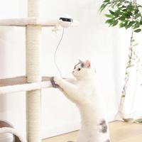 Cat Toy Electronic