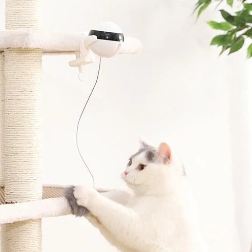 Cat Toy Electronic