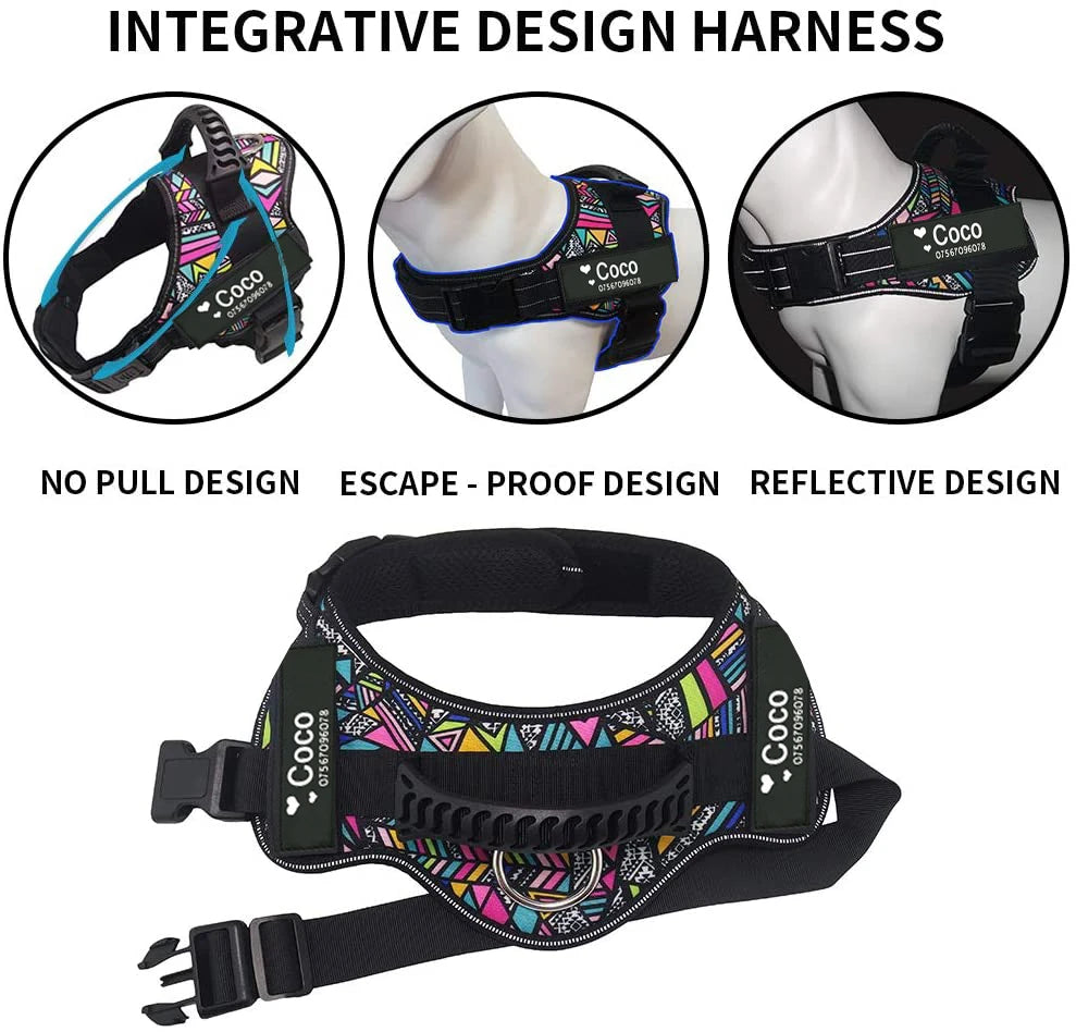 Best Dog Collar