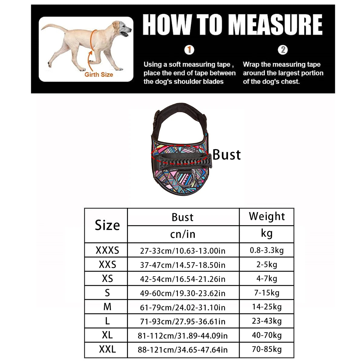 Best Dog Collar size chart