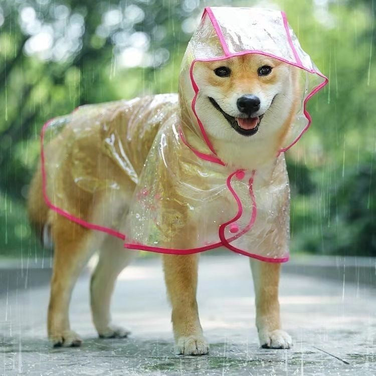 Leopard Transparent Dog Raincoat